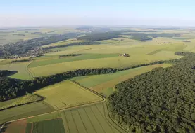 L’écorégime, avec trois niveaux de paiements différents selon les exigences atteintes, remplace le paiement vert dans la nouvelle PAC.