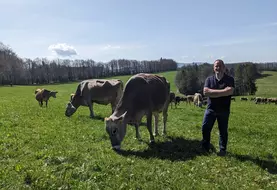 Le 22 mars, les vaches démarrent leur premier tour de pâturage dans une PFV pâturage précoce. « En passant en bio, les taux n’ont pas diminué grâce à de l’herbe ...
