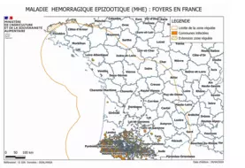 Carte des foyers de MHE en France au 4 avril 2024