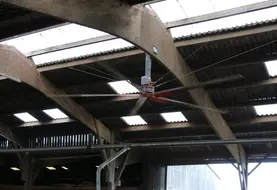 <em class="placeholder">ventilateur à pale horizontale, créant un flux d&#039;air vertical dans une stabulation pour vaches laitières</em>
