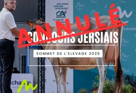 annulation du concours jersiaise france
