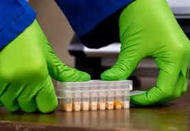 <em class="placeholder">mastatest</em>