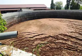 <em class="placeholder">fosse avec croûte</em>