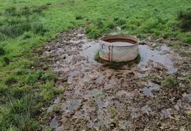 <em class="placeholder">abreuvoir en zone humide</em>