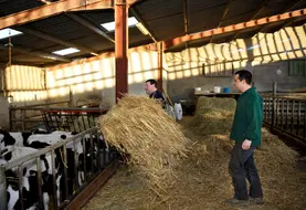 <em class="placeholder">Eleveur donnant les instructions à son salarié. Agriculteur employeur. Transmission des consignes. Discussion. Explication des tâches à accomplir. Emploi en élevage ...</em>