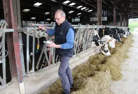 <em class="placeholder">mesure de courant parasiite en élevage laitier</em>