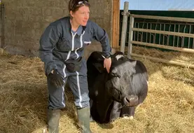 <em class="placeholder">Alice de Boyer des Roches, professeure à VetAgro Sup et Inrae..</em>