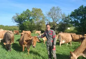 <em class="placeholder">Gilles Onillon, éleveur laitier, dans une prairie avec ses vaches Jersiaises</em>