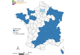 Carte de France des départements ayant détecté la présence du virus Shamonda-Europe par RT-PCR chez des bovins (bleu foncé) ou chez des ovins (bleu clair) au 21 septembre 2026. 