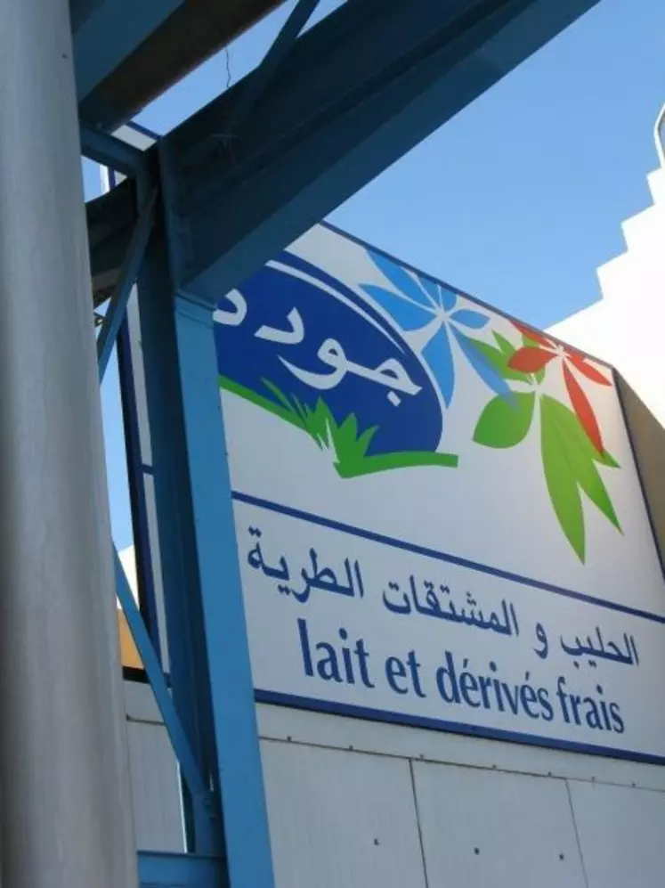 Industrie laitière à Taroudant au Maroc.