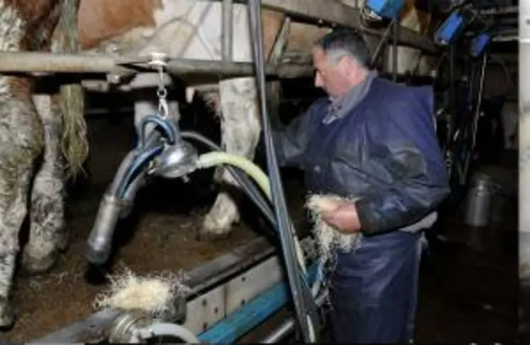 Rémy Lavaur, éleveur dans l’Aveyron, a remplacé la douchette, la mousse désinfectante et l’essuyage papier par un nettoyage à la laine de bois.