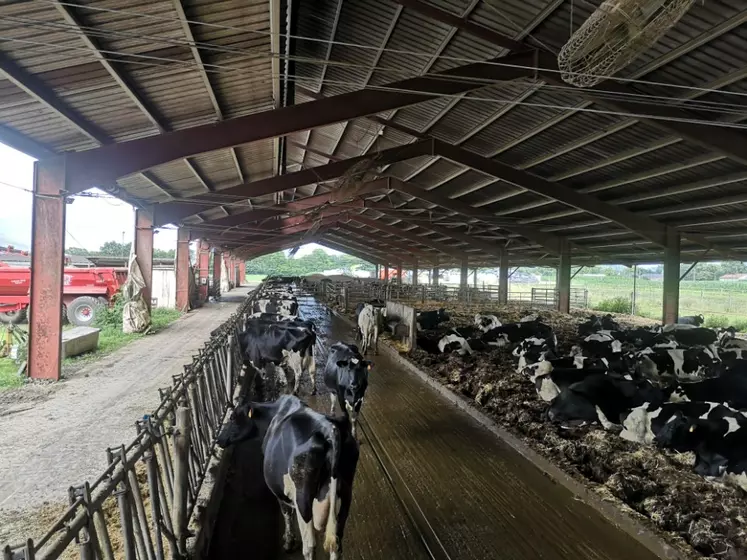 stabulation vaches laitières SCL Elevage du Pla