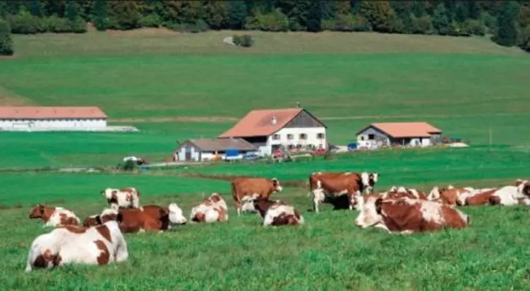 Le projet de la fédération des producteurs suisses de regrouper les producteurs en quatre organisations de producteurs est tombé à l'eau. Finalement, 34 organisations ont vu le jour.