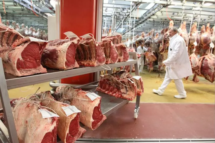 Vente en gros de viande bovine au marché international de Rungis. La distribution représente 15% des emplois induits.