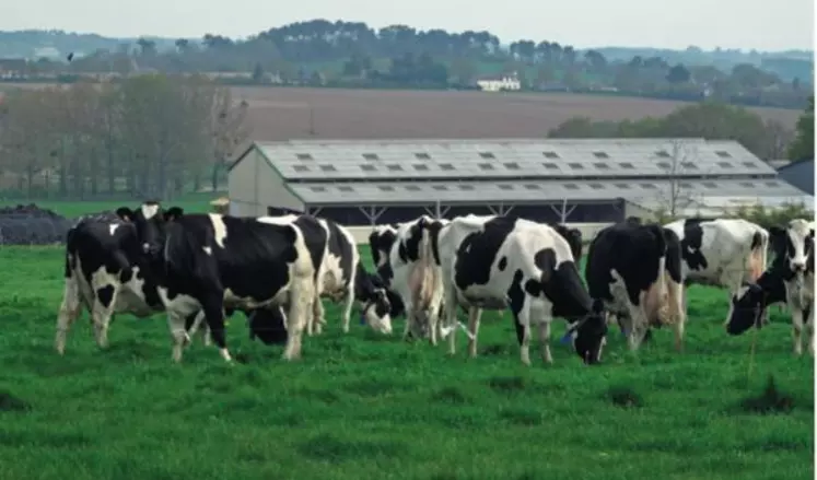 AJUSTER LE TEMPS PASSÉ À L’EXTÉRIEUR À LA PART D’HERBE
DANS LA RATION, pratiquer le vêlage précoce… sont
de leviers pour tenir le seuil des 170 kg N org.