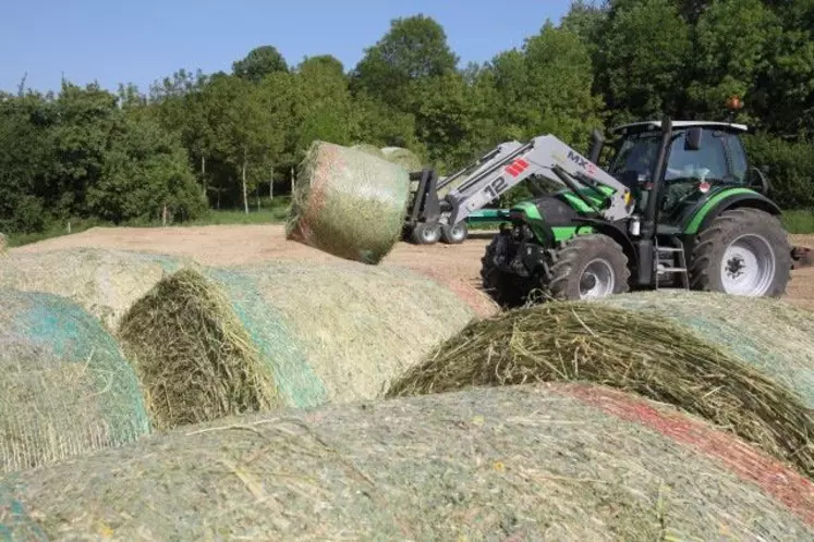 Le coût de revient de l'enrubanné serait plus faible que celui de la luzerne déshydratée, avantage qui se combinerait à une meilleure efficacité alimentaire.