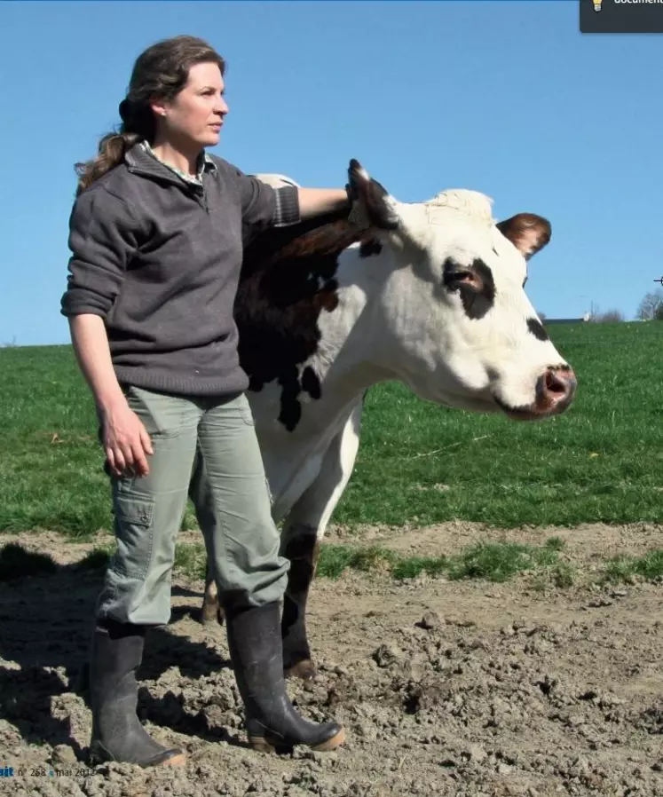 Arriver avec des vaches en forme et toniques au vêlage