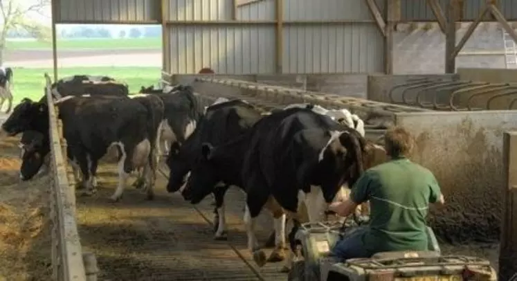 Les exploitations d’élevage où des soins journaliers aux animaux sont nécessaires bénéficient d’une dérogation de plein droit pour le travail du dimanche des salariés affectés à ces tâches.