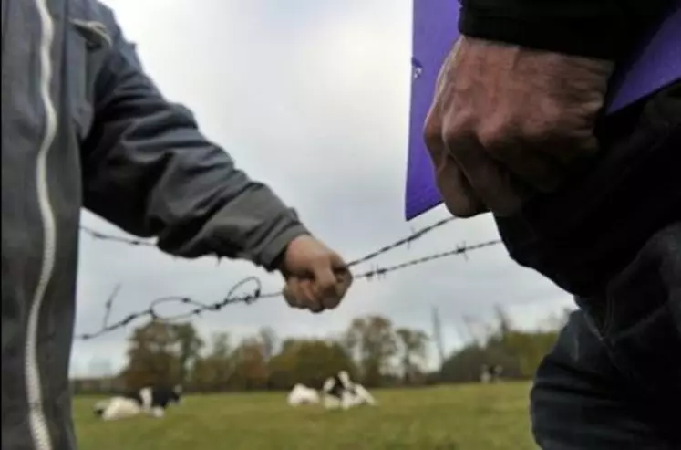 Le collectif d'éleveurs laitiers victimes a l'intention de se pourvoir en cassation et de porter le dossier devant de la Cour européenne des droits de l'homme.