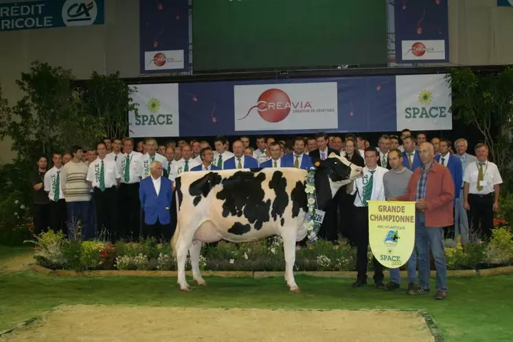 Grande championne et championne jeune : Jennifer au GAEC Cabon (Finistère