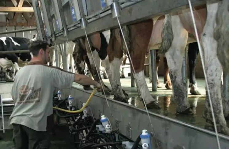 La hausse de la collecte mondiale
est encore timide. L’effet prix du lait
et baisse du prix des aliments suffiront-ils
à refaire décoller la production mondiale ?