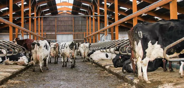 LES DEUX FOSSES SOUS CAILLEBOTIS
permettent de stocker 2 400 m3 de lisier
avec une profondeur utile de 2 m.
Les eaux blanches sont stockées à part
dans une ancienne fosse.