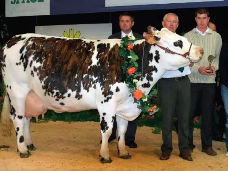 Superbe, grande championne, Gaec Delaunay Garnier – Ille-et-Vilaine. Désignée championne adulte au
national en juin dernier, Superbe, une
fille de Joachim en sixième lactation,
a confirmé au Space grâce à la qualité
de ses aplombs, de sa mamelle…