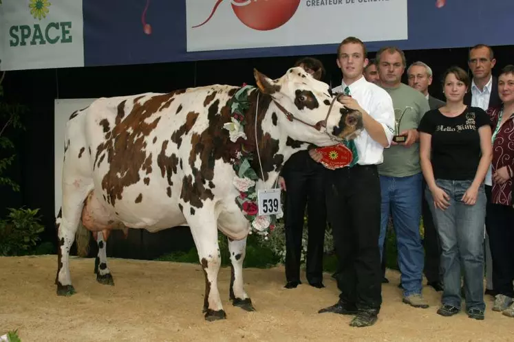 Grande championne et championne adulte : Talence à l'EARL Thomas Gautier (Ille-et-Vilaine)