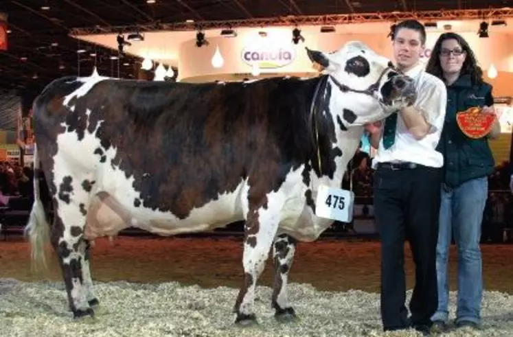 1RILERA, GRANDE CHAMPIONNE, AU GAEC DUQUESNE, DANS LA MANCHE.
Cette fille d’Idris allie performance de production et qualités morphologiques. « Âgée de bientôt 10 ans, Rilera a très bien vieilli », ont souligné les juges.