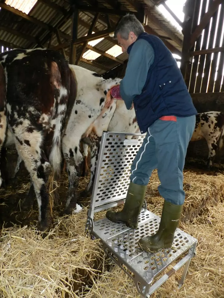 La Sécurichaise répond aux attentes des intervenants en élevage pour travailler au plus près de l'animal en toute sécurité.