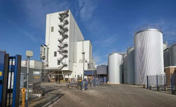 L’usine de Beilen aux Pays-Bas est spécialisée dans la production d’ingrédients.