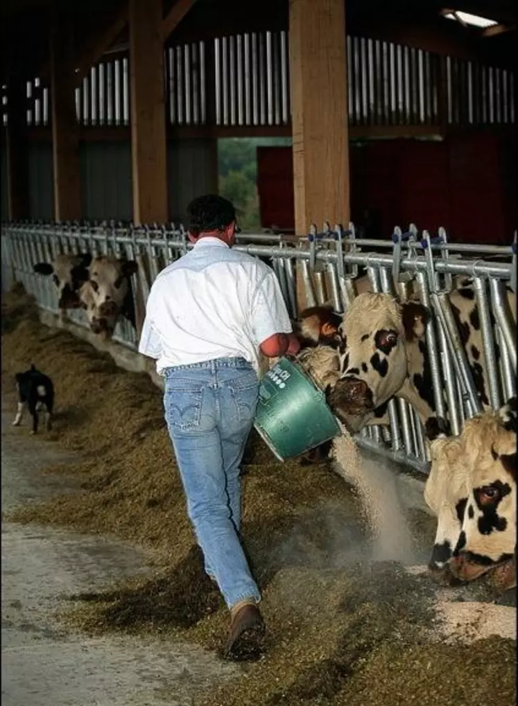 Comment Intermarché a gagné la bataille de la bouteille de lait en