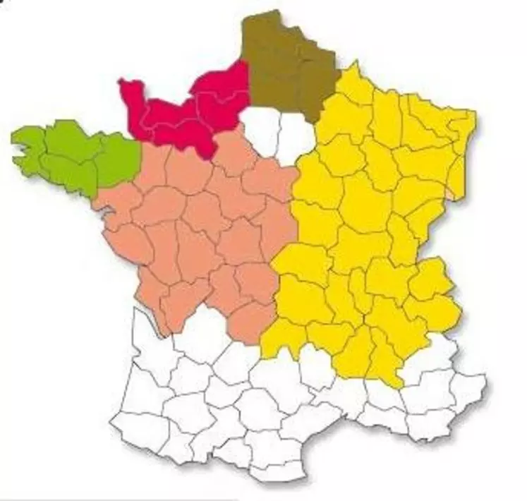 Les résultats sont classés par région de production et par groupe de précocité.