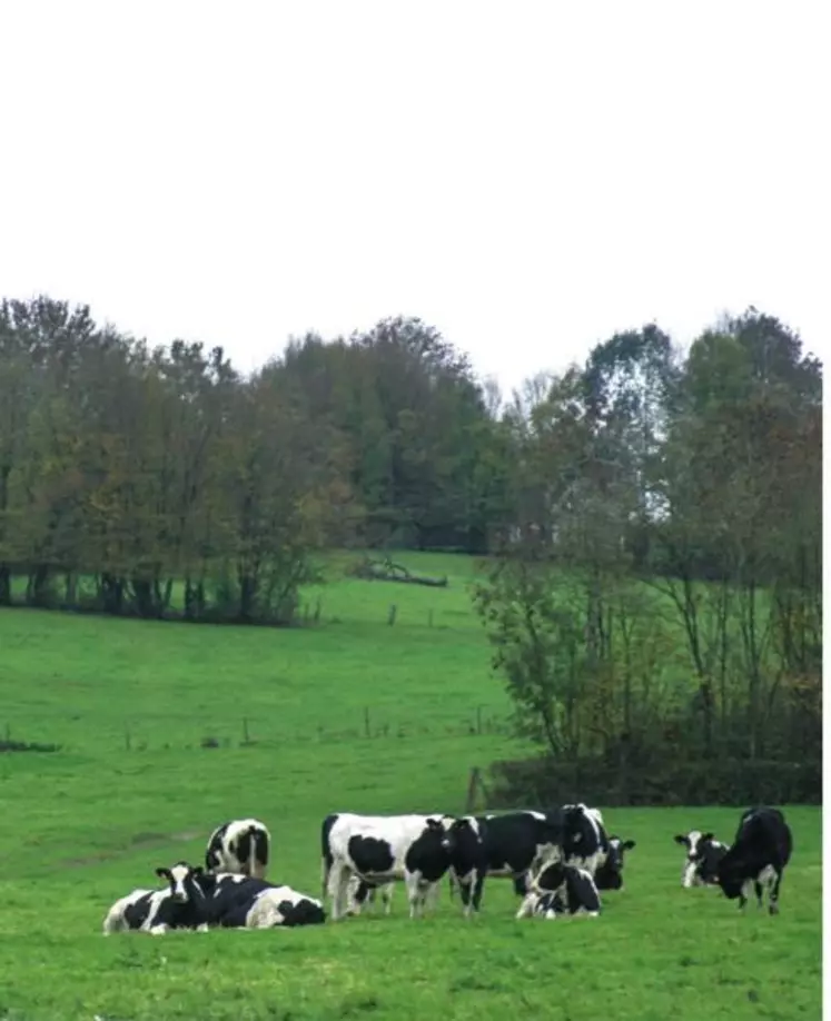 Carbon dairy est
le plan de réduction
des émissions de GES
de la production laitière. Une de ses finalités
est de valoriser financièrement les
efforts de la production.