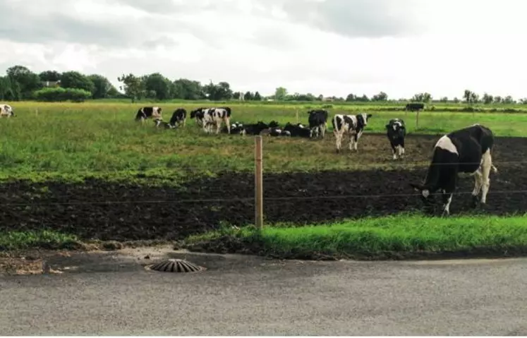 Les parcelles parking et les bourbiers qui se forment dans les prairies présentent un enjeu nvironnemental auquel commence à s’attaquer la réglementation ICPE.