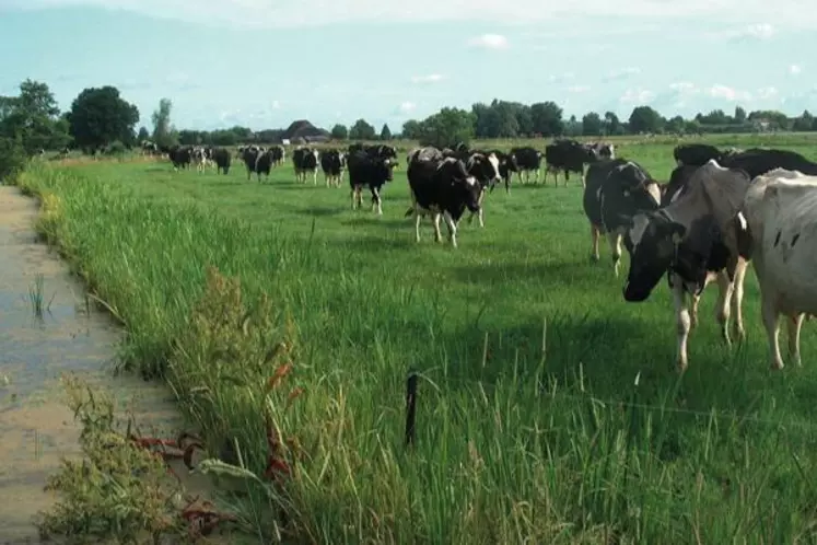 Abandonner les normes d’émissions
et de fertilisation, et ne travailler qu’à partir du cycle des éléments minéraux, est l’idée du programme que les Pays-Bas défendront à Bruxelles.