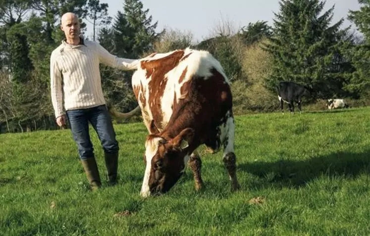 Erwan Le Roux, membre du réseau. 
« Les éleveurs anglais se sont regroupés 
pour ne pas laisser les sociétés privées 
prendre le relais des instituts publics. »