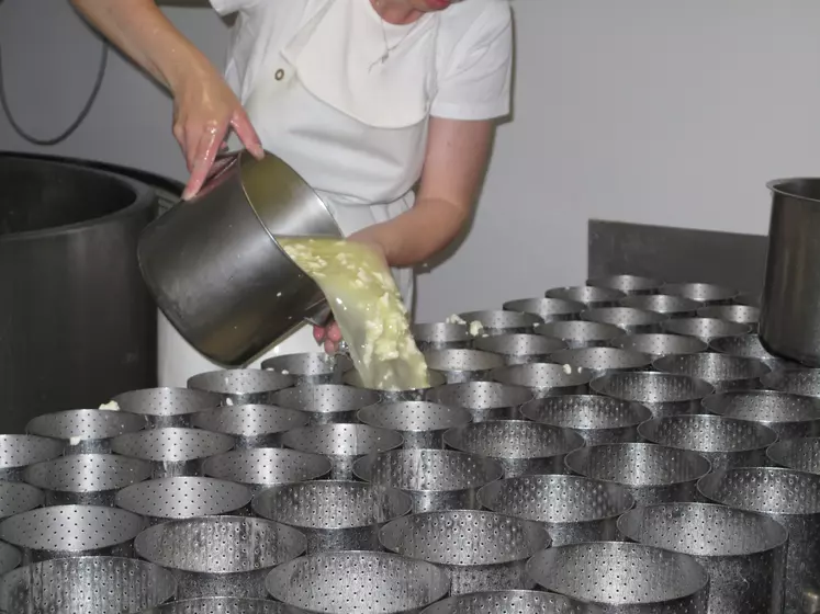 fabrication de fromage à la ferme