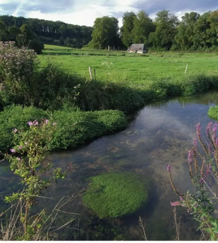 Air, eau, biodiversité... La protection de l'environnement sous toutes ses formes est de plus en plus réglementée.