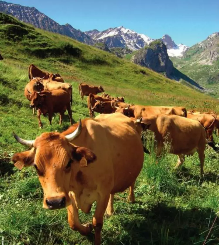 L’écart concurrentiel avec la plaine
va s’accroître, mais la montagne
a des atouts pour y faire face