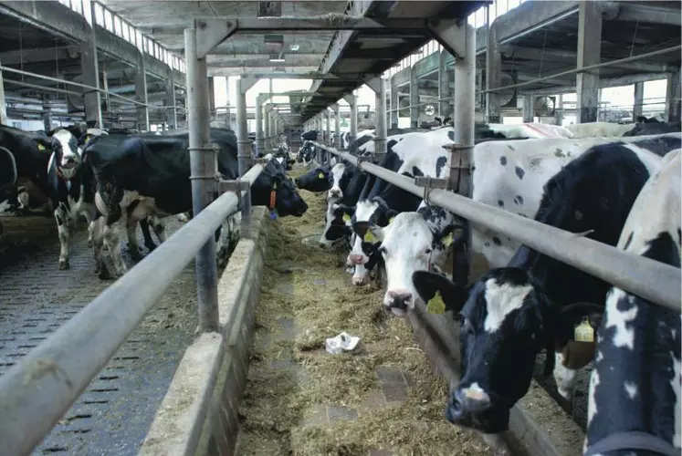 En Allemagne, aucune laiterie n'a souhaité encadrer la production. Les industriels s'attendent à transformer 3 à 4 % de lait en plus par an.