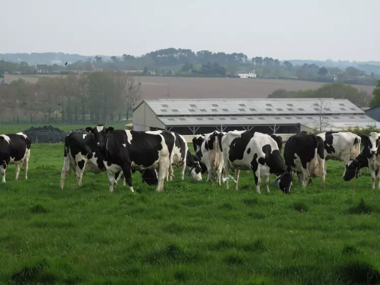 Cette initiative lancée par et pour les éleveurs laitiers met en place les fondements d’un « plan bas carbone » de la production laitière.