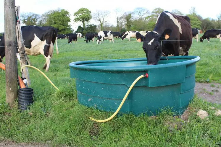Un bac de 1000 litres avec un bon débit assure un abreuvement satisfaisant pour un troupeau de 70 vaches.