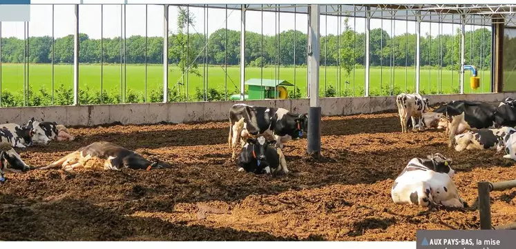 Les activités « paillages » et « litières » bien orientées - Cavac