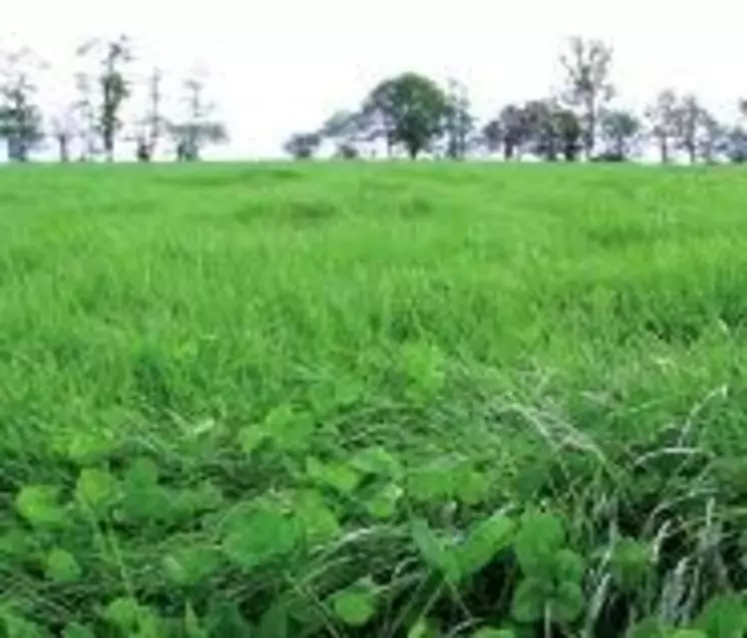 2010 SERA LA RÉFÉRENCE INITIALE pour le suivi des ratios de surfaces en prairies temporaires et permanentes.