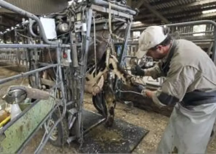 Les vaches ayant accès au pâturage sont significativement moins boiteuses que les vaches en zéro pâturage.