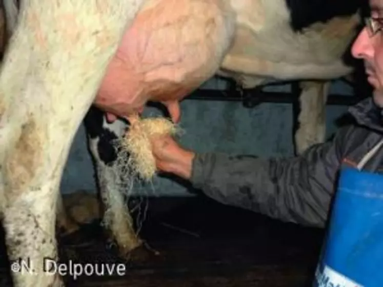 LA LAINE DE BOIS EST DÉCONSEILLÉE SI VOUS AVEZ DES COMPTEURS
À LAIT. Ils ont tendance à s’encrasser suite à des résidus
de fines particules de fibres sur les trayons.