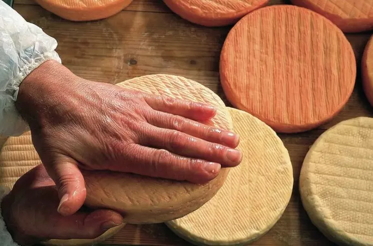 La production fromagère du groupe coopératif  l'Ermitage a augmenté de 4 % en 2012.