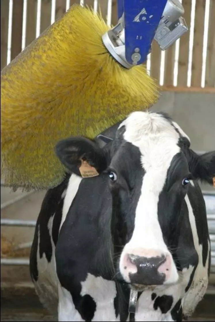 La sensibilité des animaux
détenus par l'homme a déjà
une valeur légale dans
le Code rural français depuis 1976.