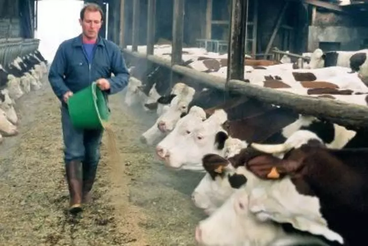 D’APRÈS L’ENQUÊTE RÉALISÉE EN RÉGION
RHÔNE-ALPES, trois éleveurs sur dix
envisagent de réduire la quantité de
correcteur azoté distribué aux laitières.